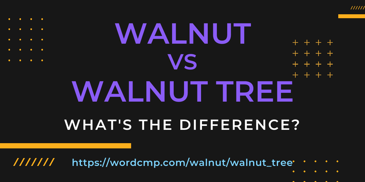 Difference between walnut and walnut tree