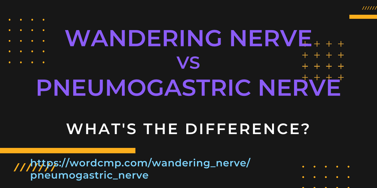 Difference between wandering nerve and pneumogastric nerve