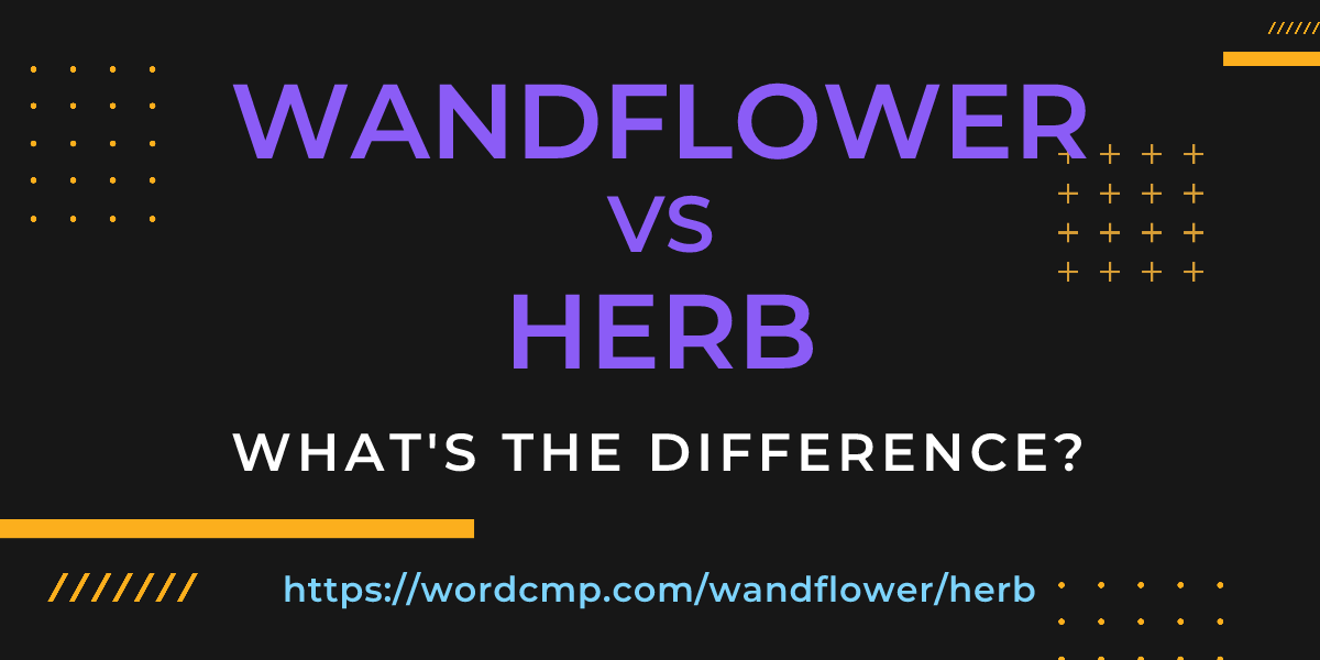 Difference between wandflower and herb