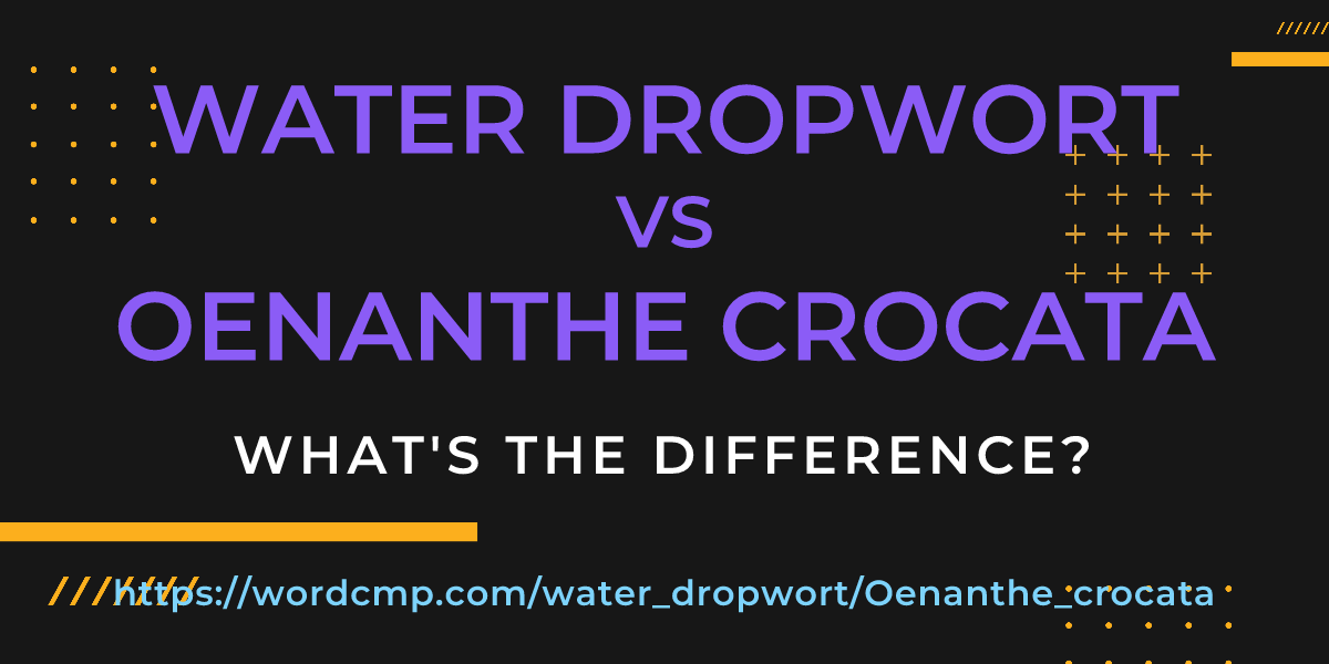 Difference between water dropwort and Oenanthe crocata