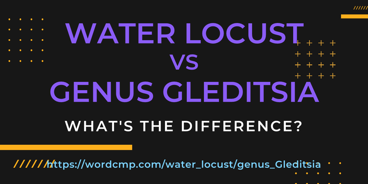 Difference between water locust and genus Gleditsia