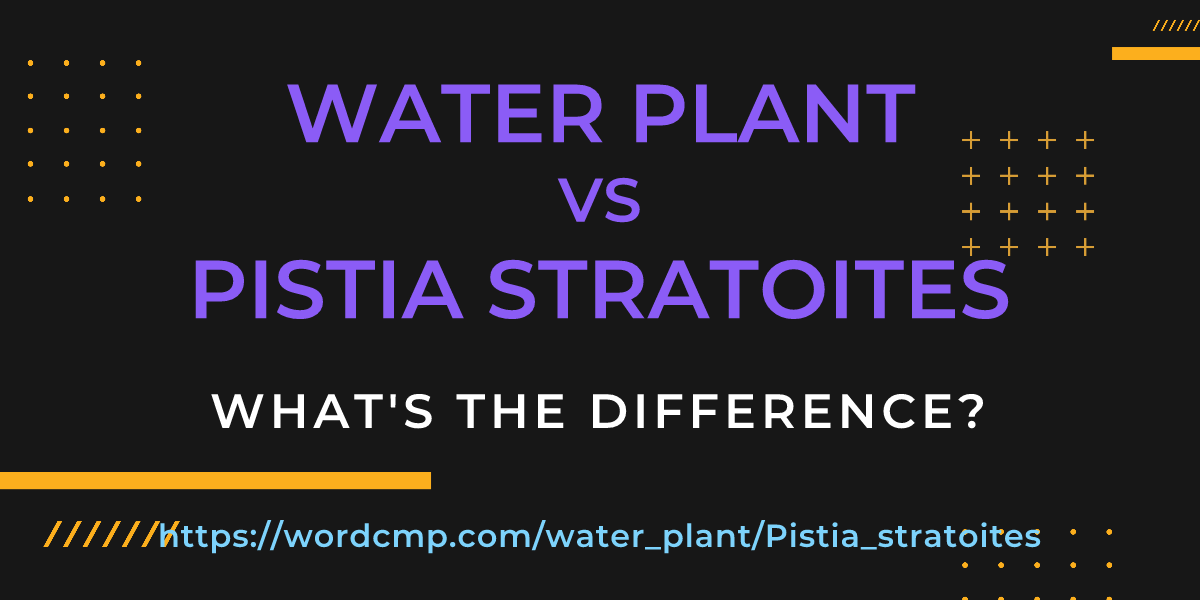 Difference between water plant and Pistia stratoites