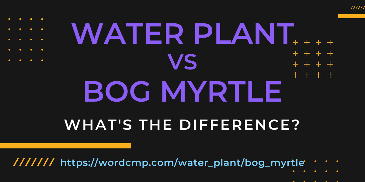Difference between water plant and bog myrtle