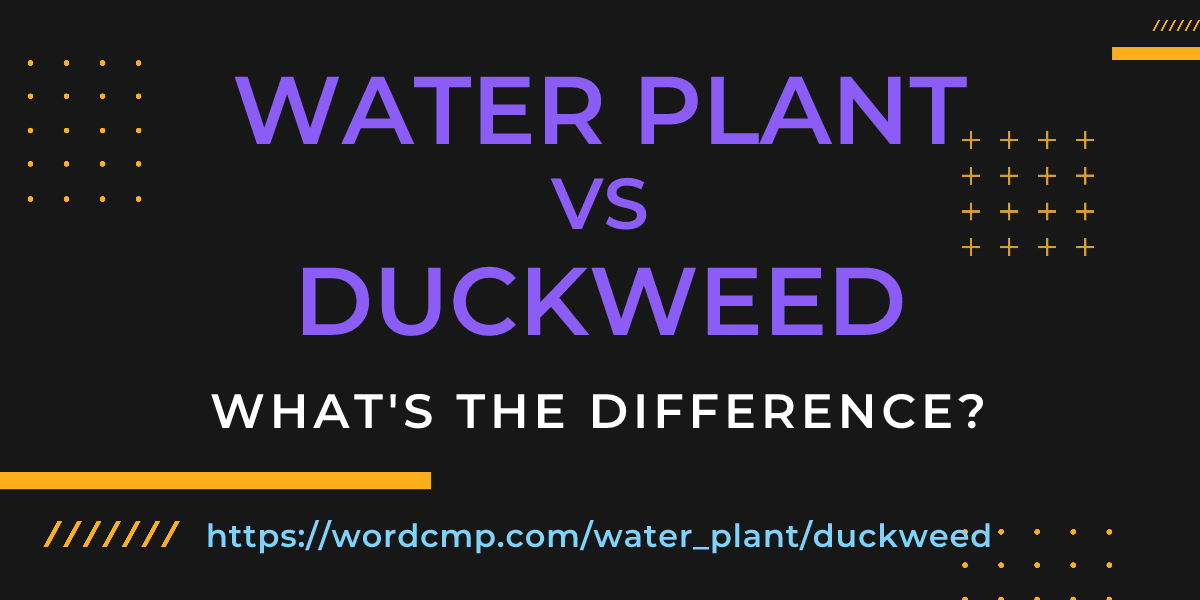 Difference between water plant and duckweed