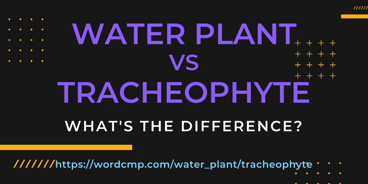 Difference between water plant and tracheophyte