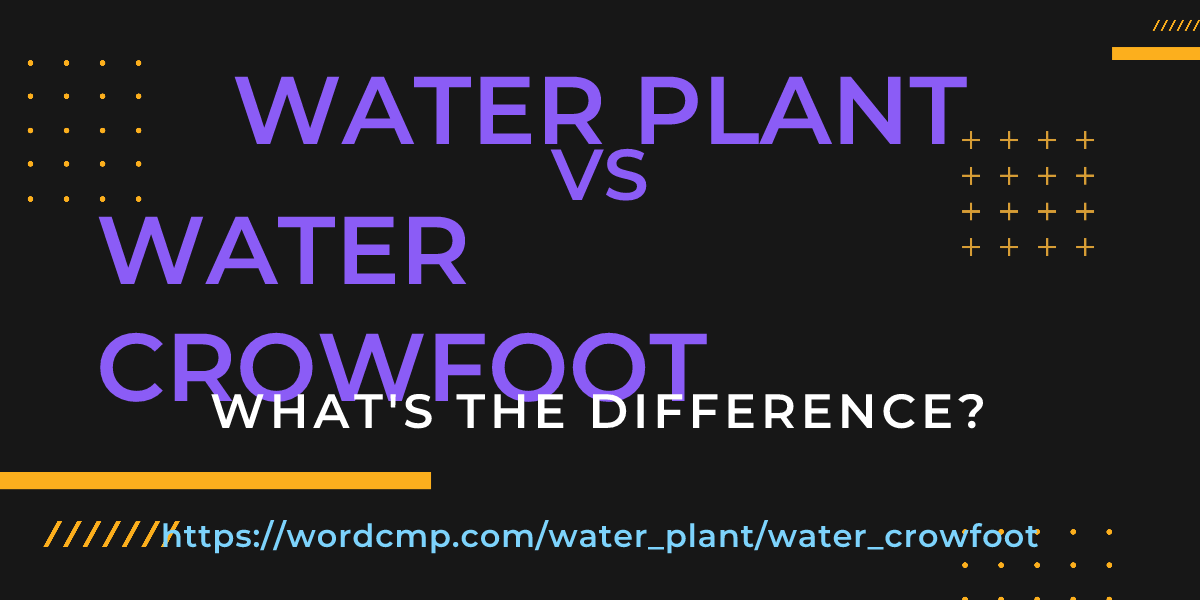 Difference between water plant and water crowfoot