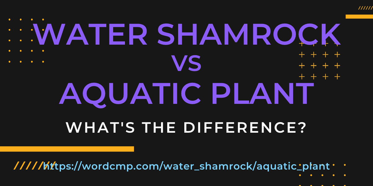 Difference between water shamrock and aquatic plant