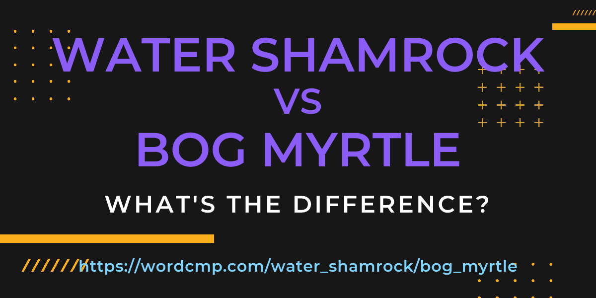 Difference between water shamrock and bog myrtle
