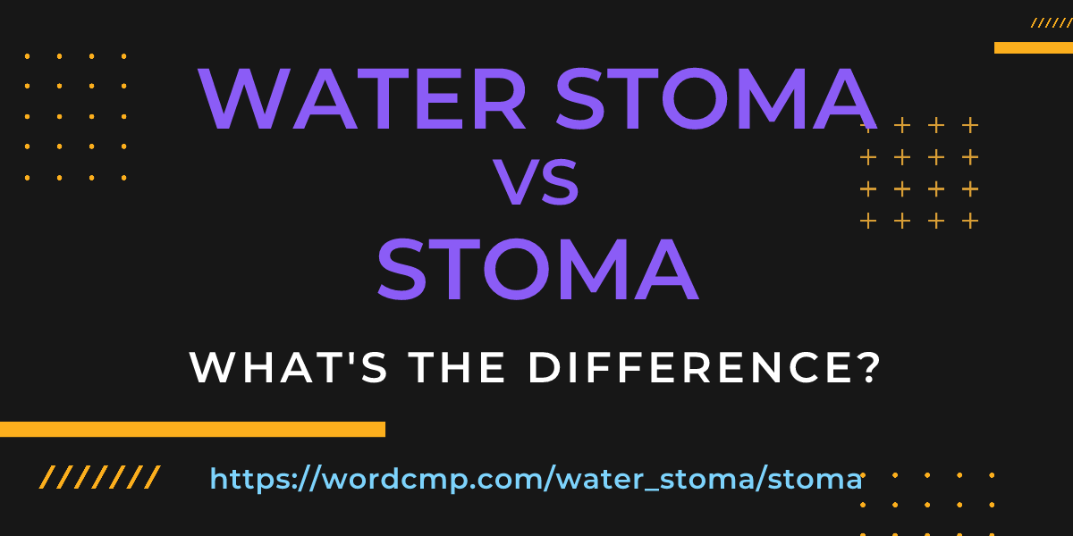 Difference between water stoma and stoma