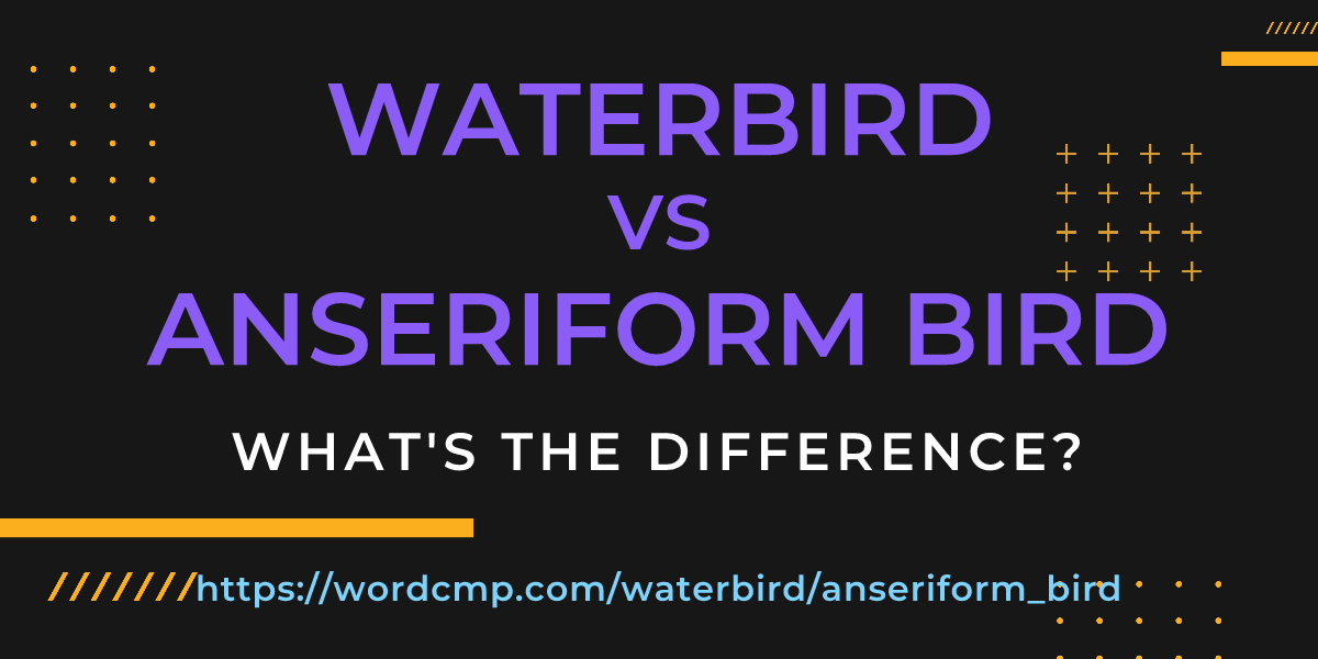 Difference between waterbird and anseriform bird