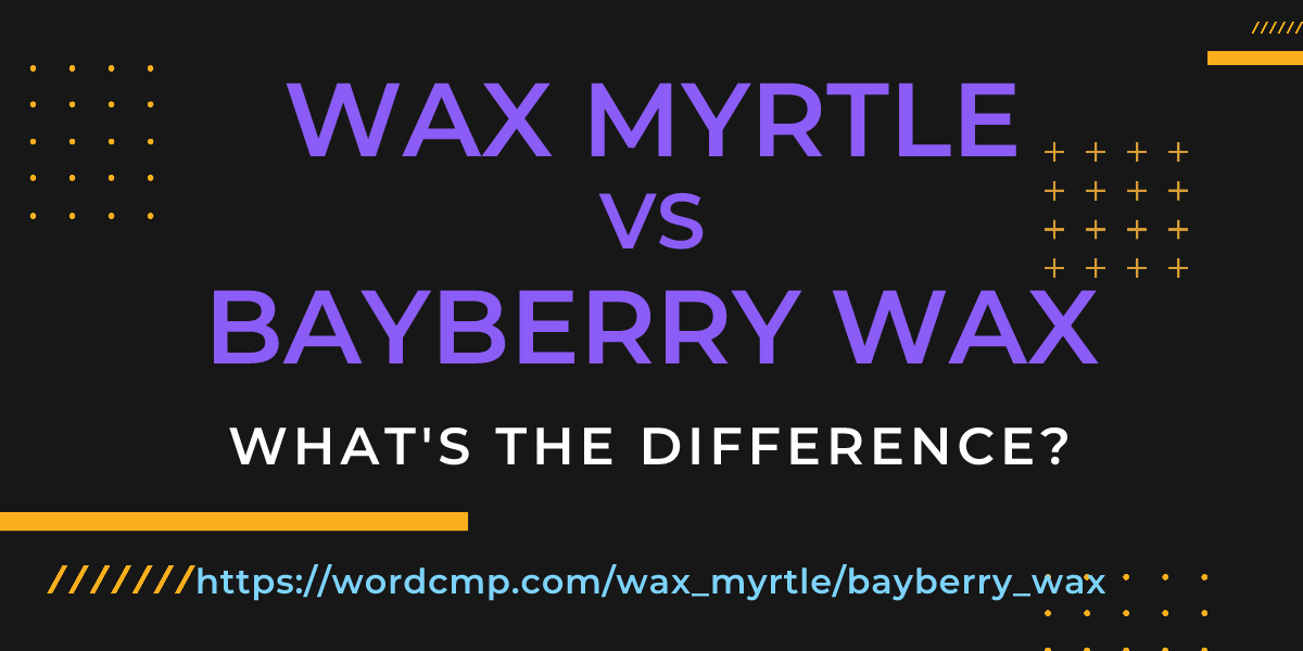 Difference between wax myrtle and bayberry wax