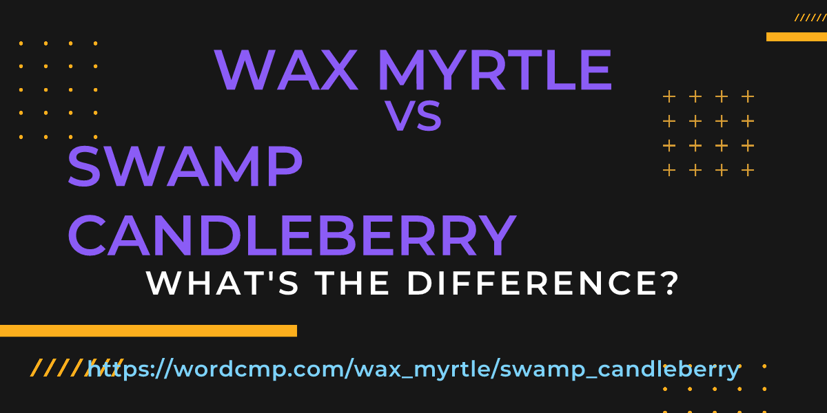 Difference between wax myrtle and swamp candleberry