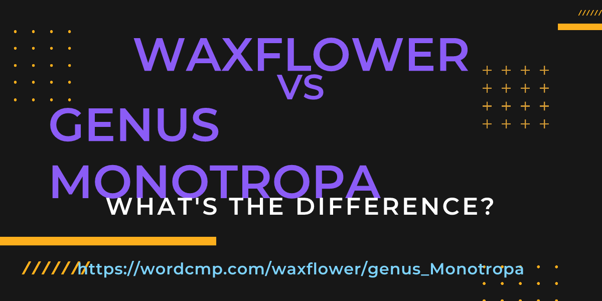 Difference between waxflower and genus Monotropa