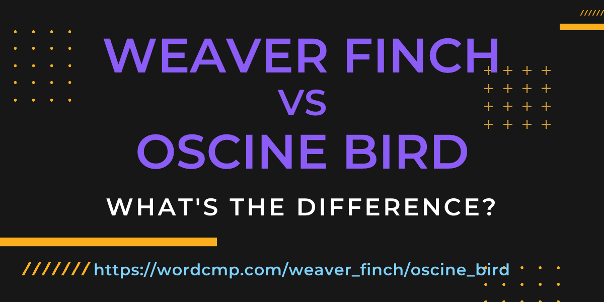 Difference between weaver finch and oscine bird