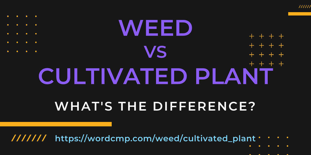 Difference between weed and cultivated plant