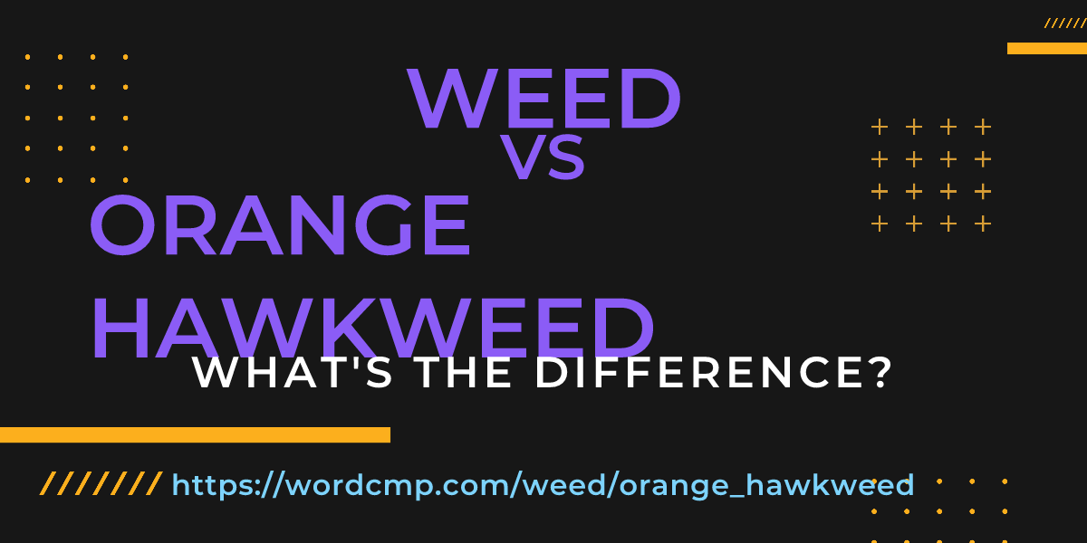 Difference between weed and orange hawkweed