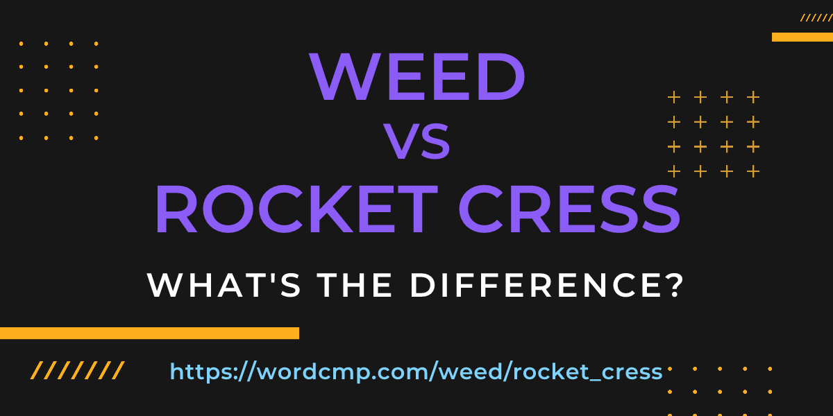 Difference between weed and rocket cress