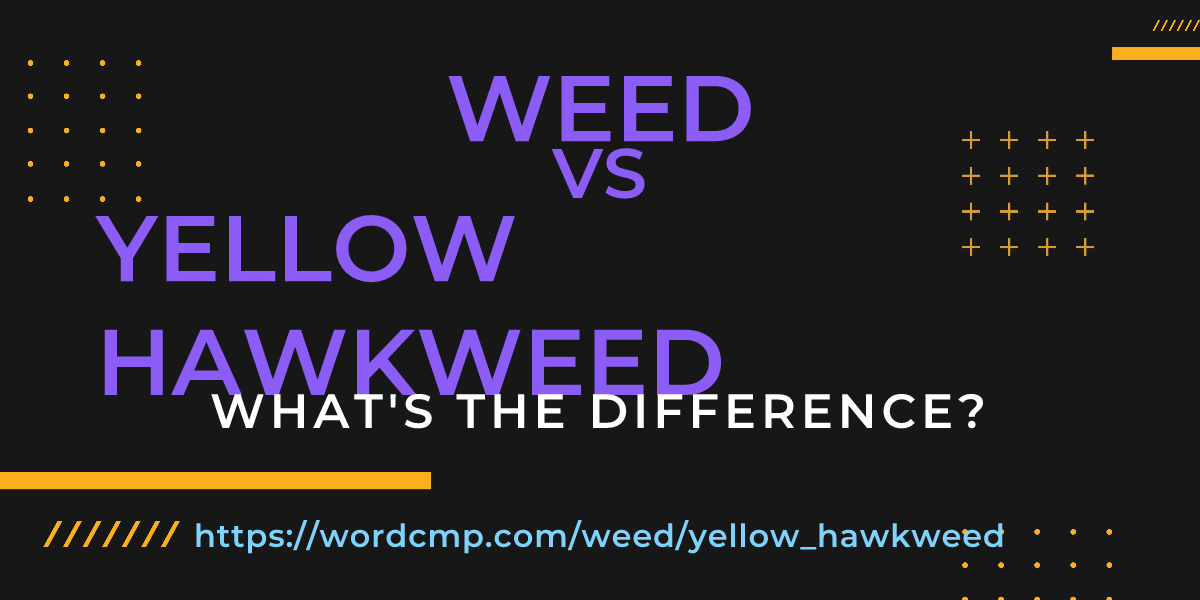 Difference between weed and yellow hawkweed
