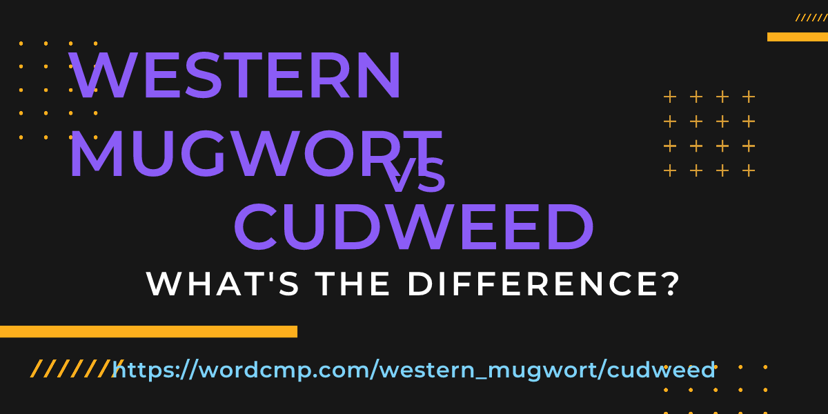 Difference between western mugwort and cudweed
