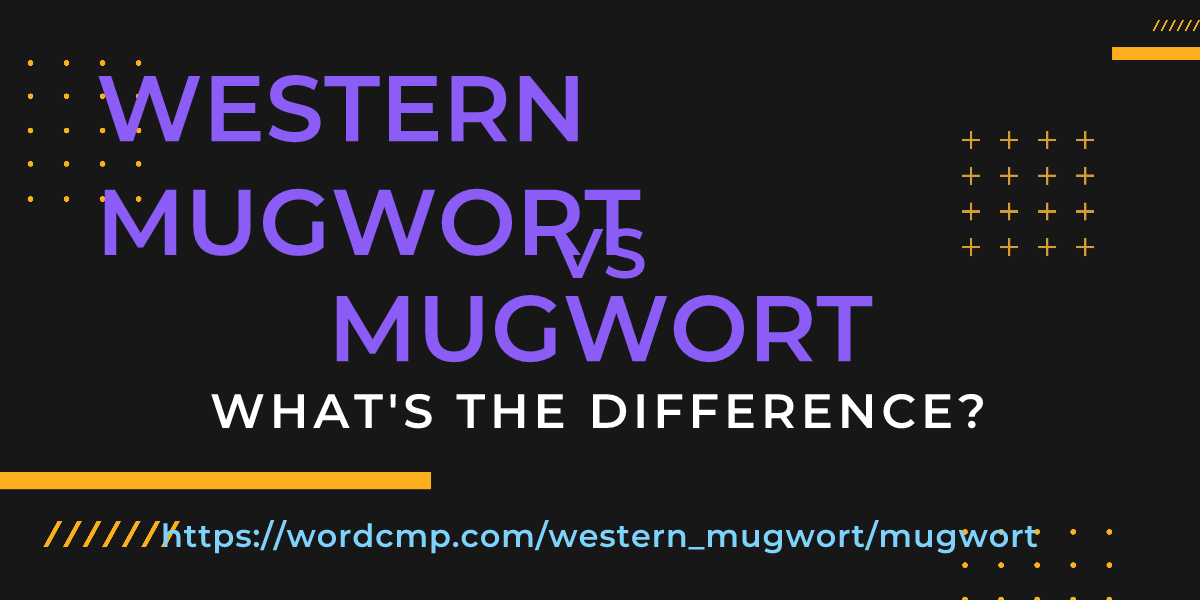 Difference between western mugwort and mugwort