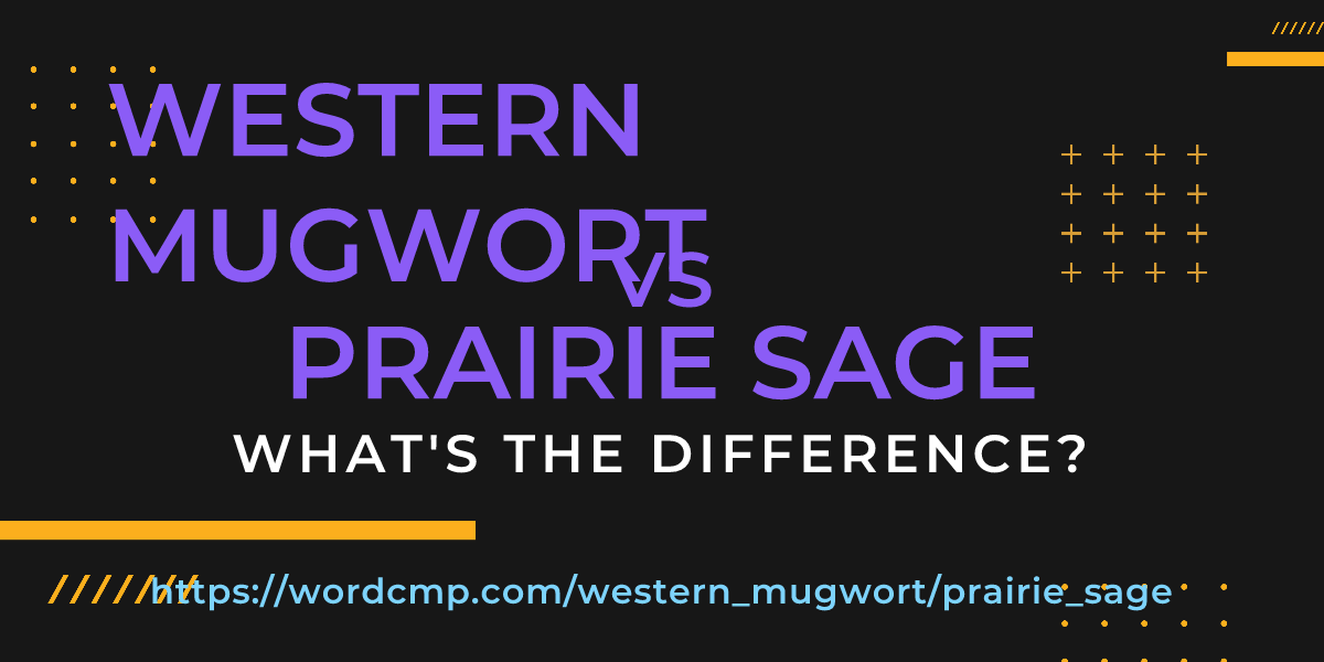 Difference between western mugwort and prairie sage