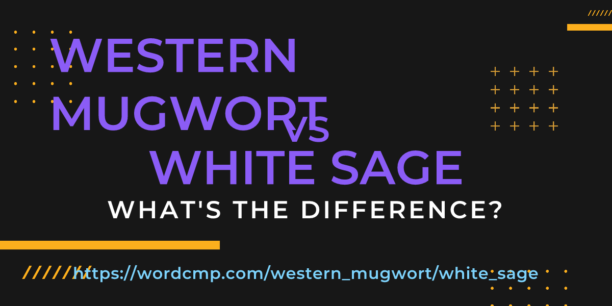 Difference between western mugwort and white sage