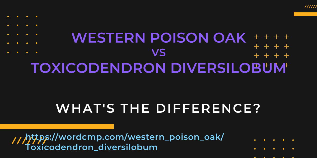 Difference between western poison oak and Toxicodendron diversilobum