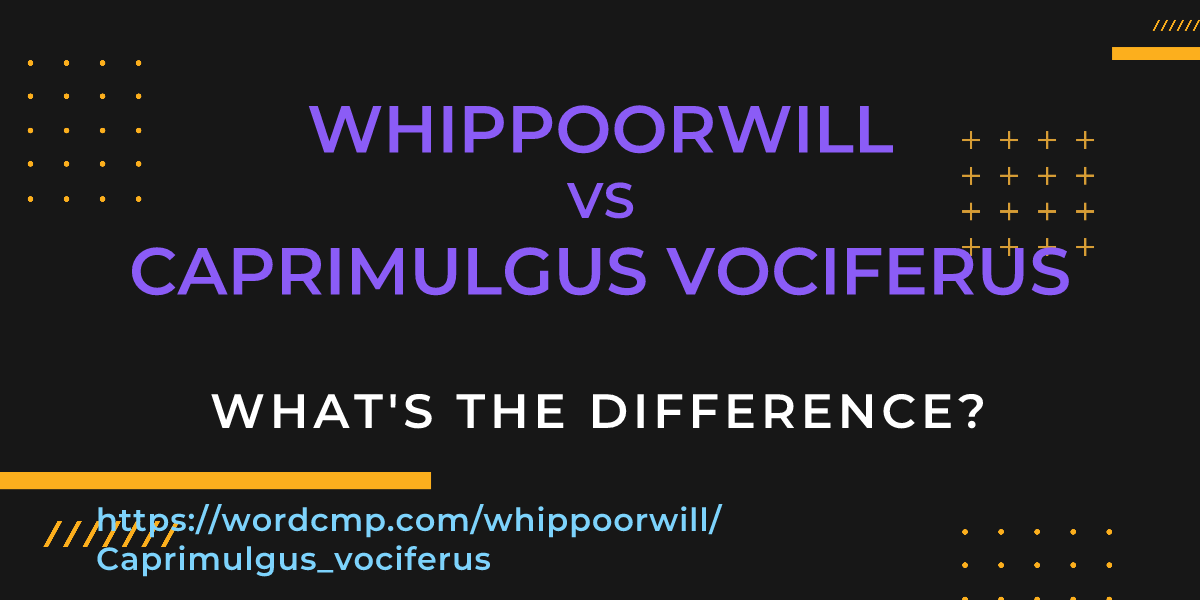 Difference between whippoorwill and Caprimulgus vociferus