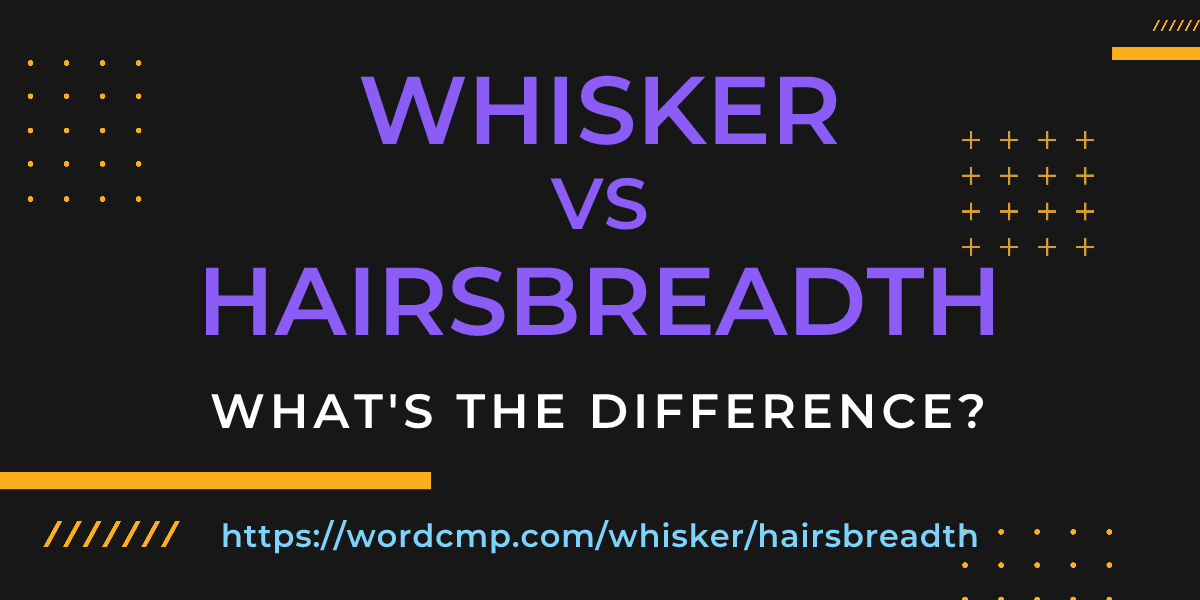 Difference between whisker and hairsbreadth
