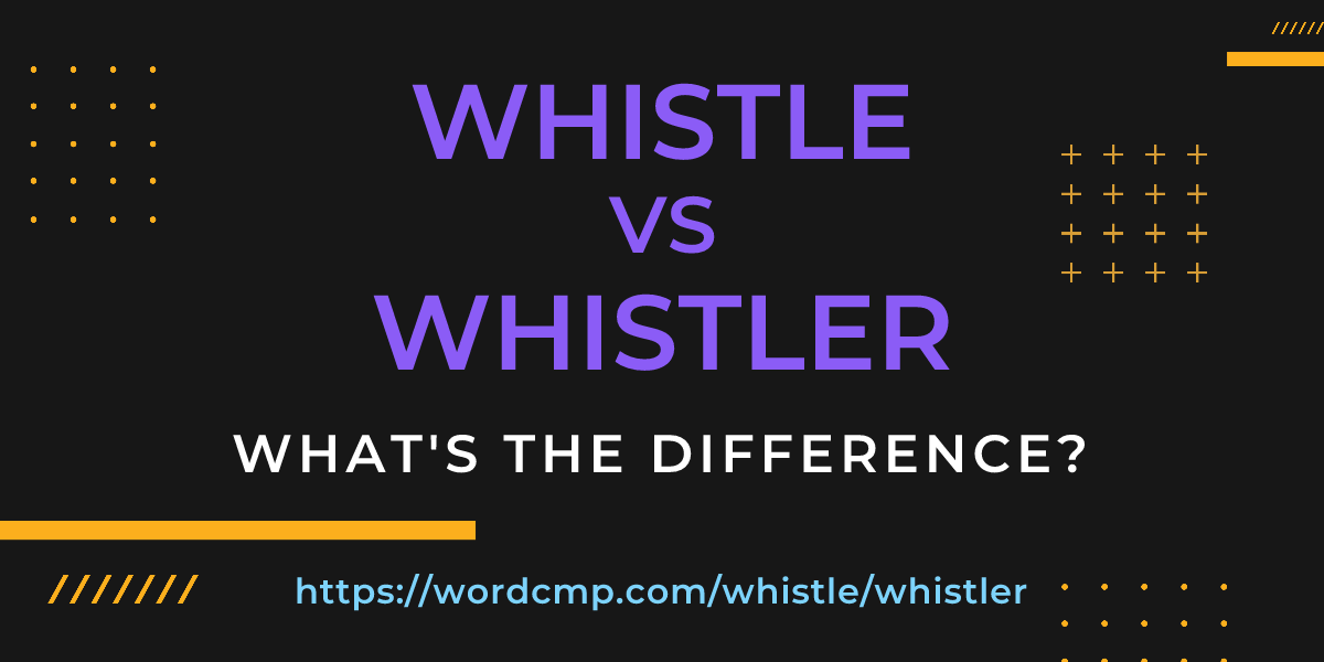 Difference between whistle and whistler