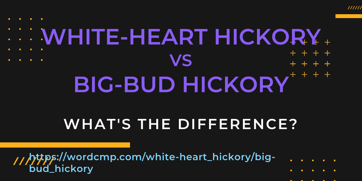 Difference between white-heart hickory and big-bud hickory