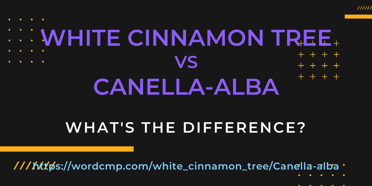 Difference between white cinnamon tree and Canella-alba