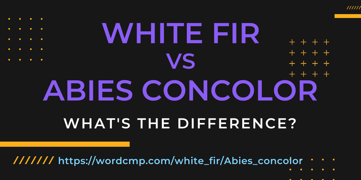 Difference between white fir and Abies concolor