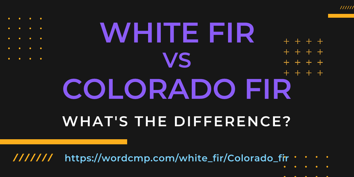 Difference between white fir and Colorado fir