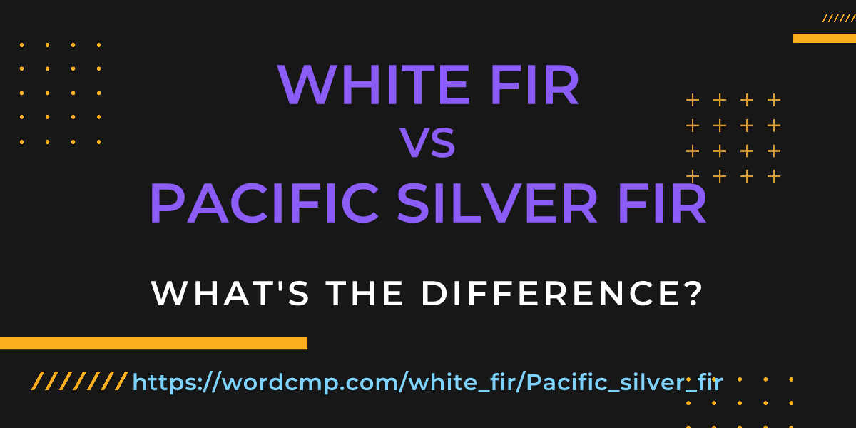 Difference between white fir and Pacific silver fir