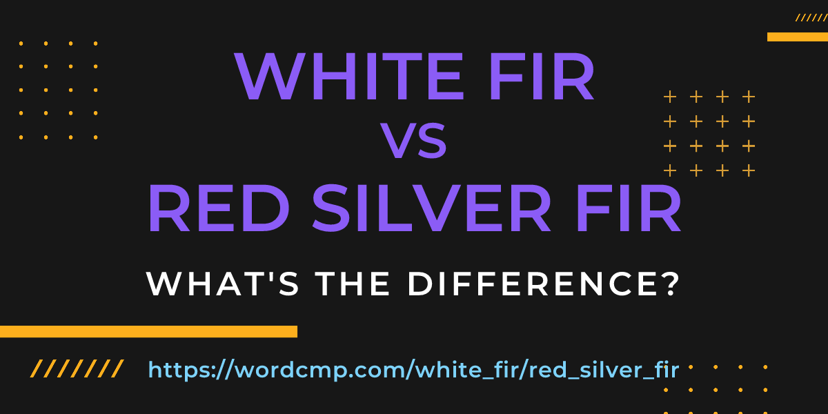 Difference between white fir and red silver fir