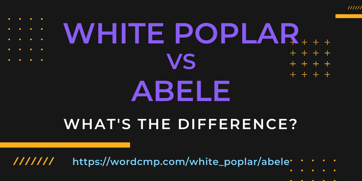 Difference between white poplar and abele