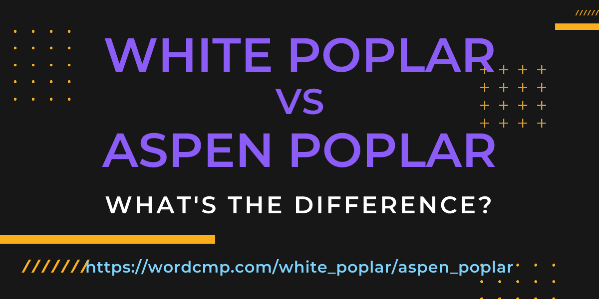 Difference between white poplar and aspen poplar