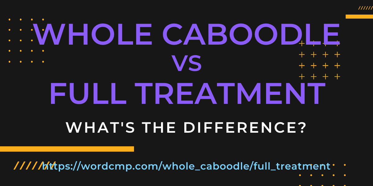 Difference between whole caboodle and full treatment