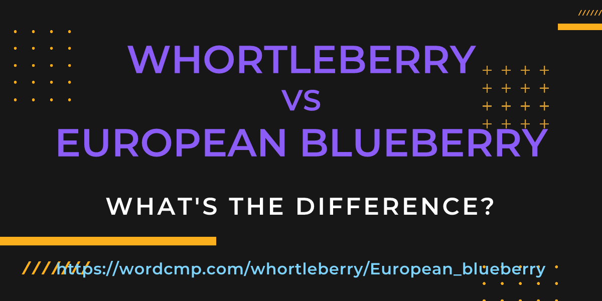 Difference between whortleberry and European blueberry