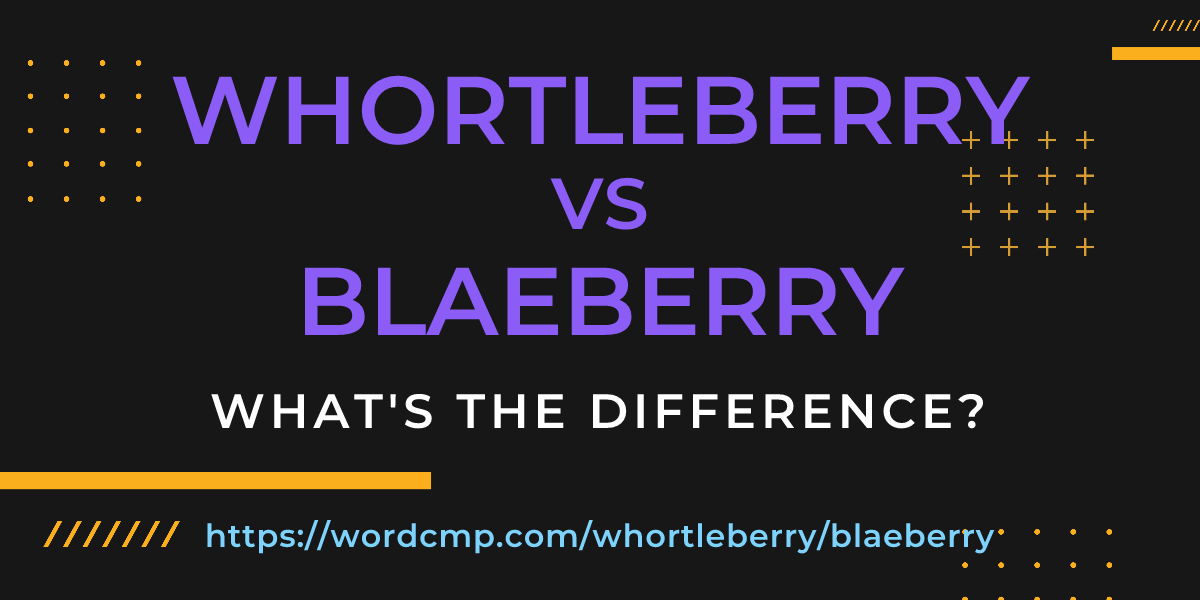 Difference between whortleberry and blaeberry