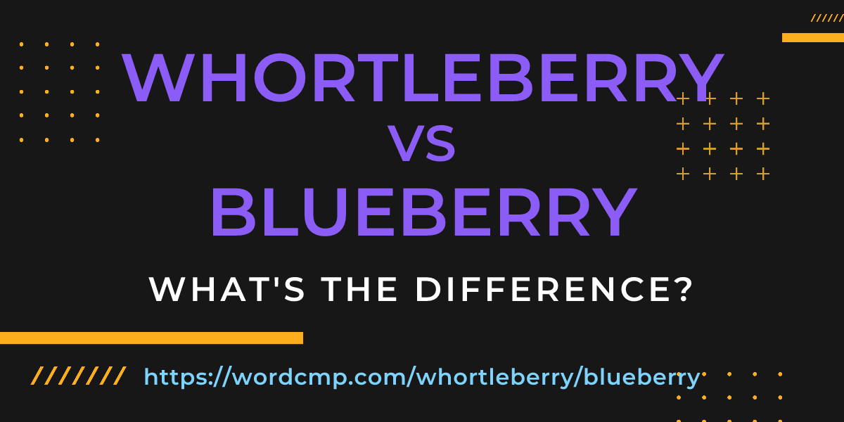 Difference between whortleberry and blueberry