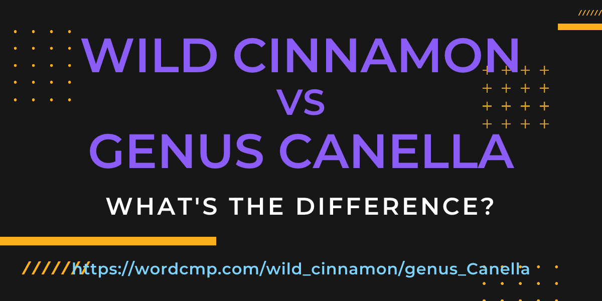 Difference between wild cinnamon and genus Canella