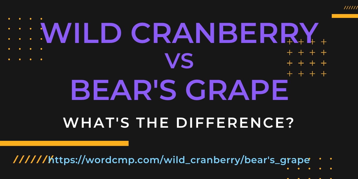 Difference between wild cranberry and bear's grape