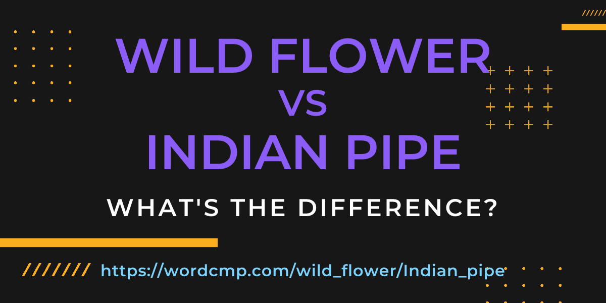 Difference between wild flower and Indian pipe