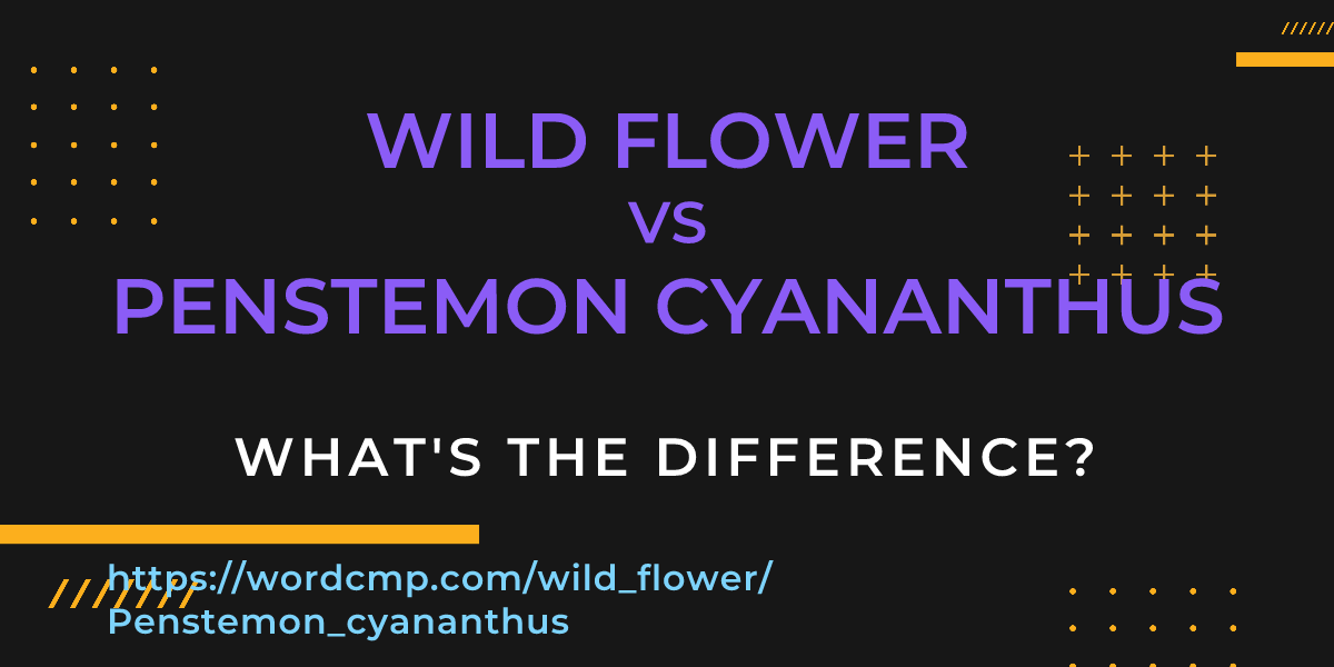Difference between wild flower and Penstemon cyananthus