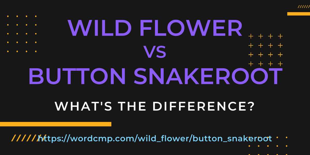 Difference between wild flower and button snakeroot