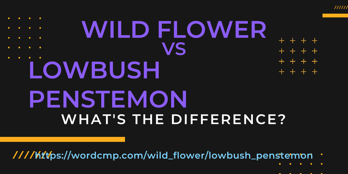 Difference between wild flower and lowbush penstemon