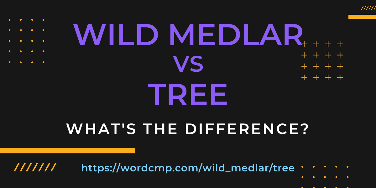 Difference between wild medlar and tree