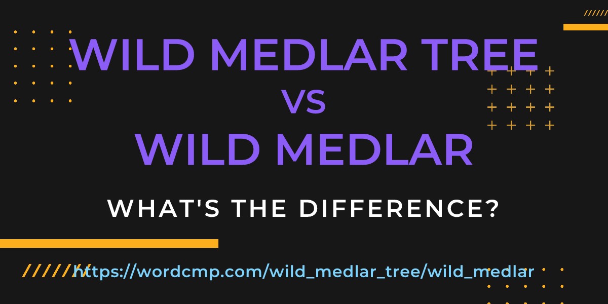 Difference between wild medlar tree and wild medlar